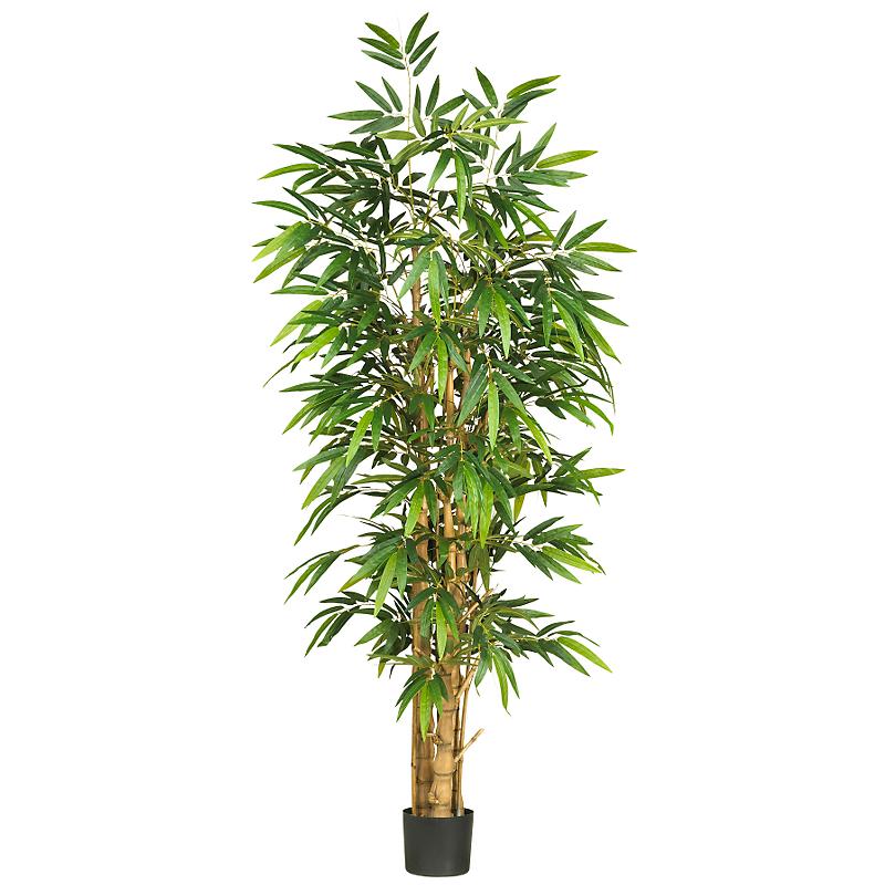 (image for) 6' Belly 5' Olive Silk Tree # NN5257 TEXT_CLOSE_WINDOW